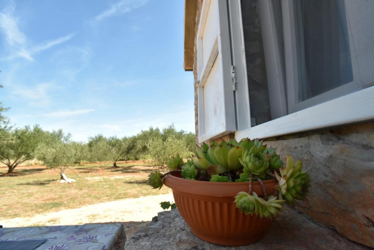 Cottage Rugonj Stari Grad  Luaran gambar